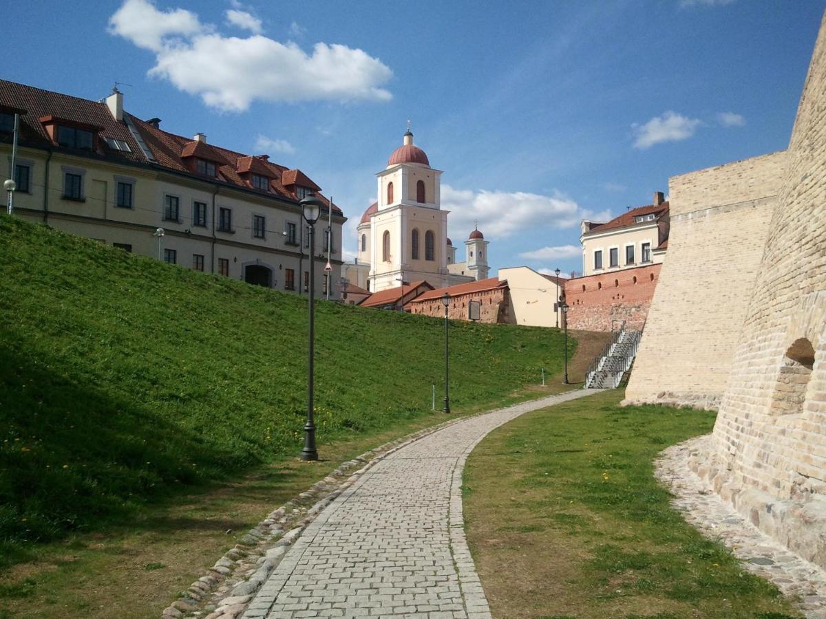 Centrally Located Cosy Studio Vilnius Exterior foto